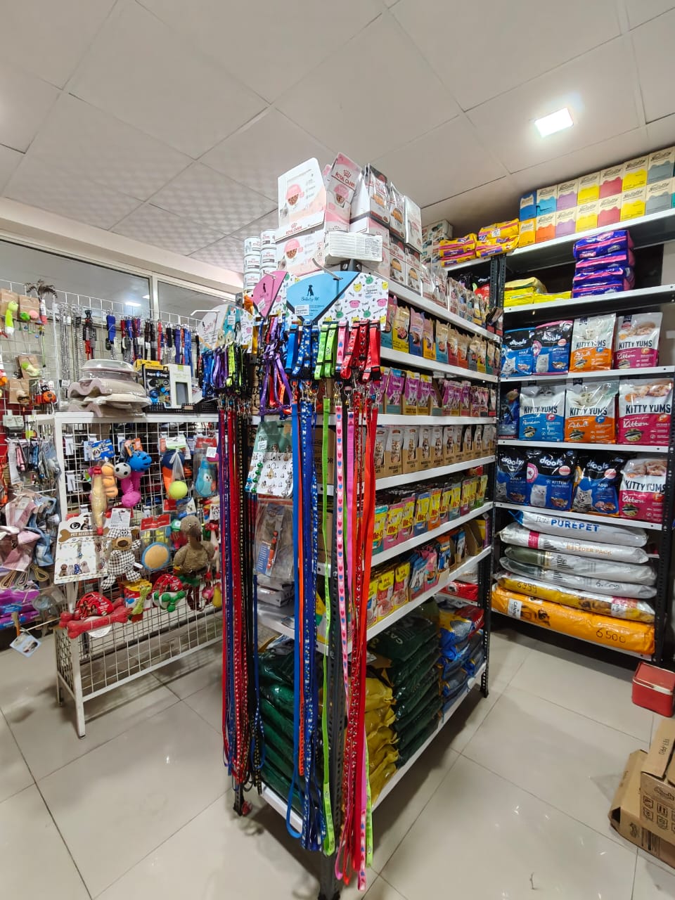 Pet care at Sarvadnya Pet Care Unit, Pimpri-Chinchwad